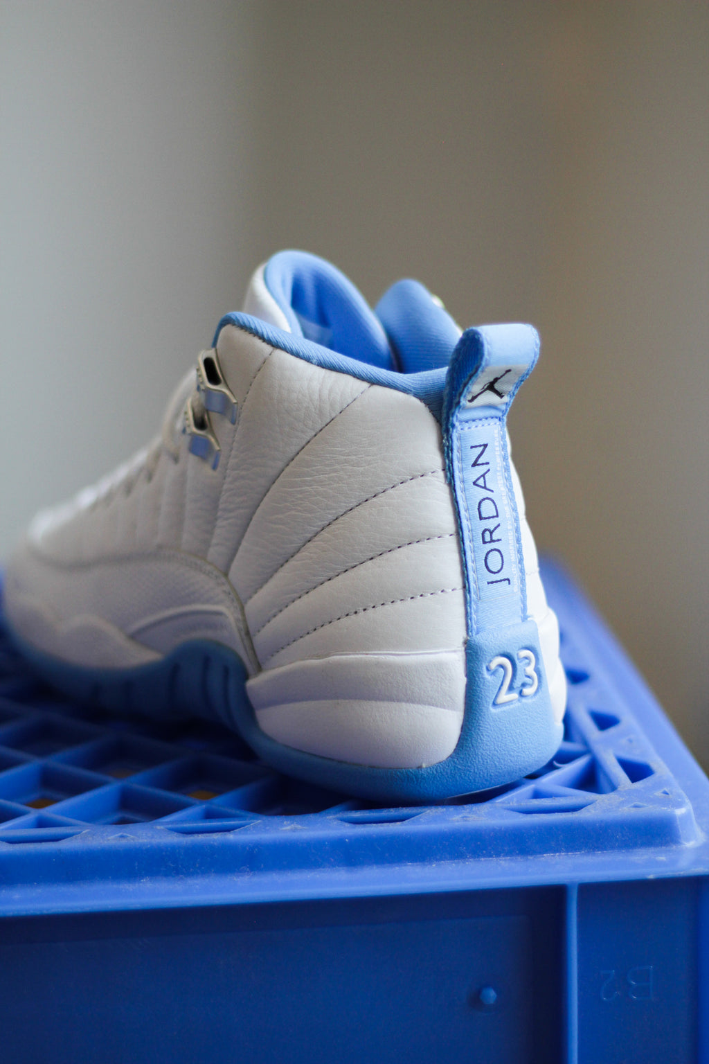 AIR JORDAN 12 RETRO (GS)