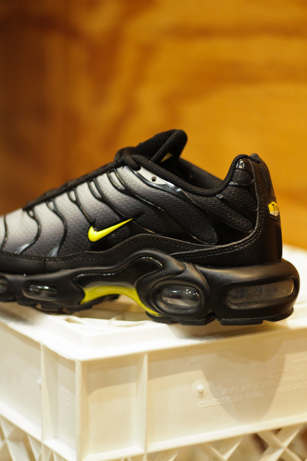 black tns with gold tick