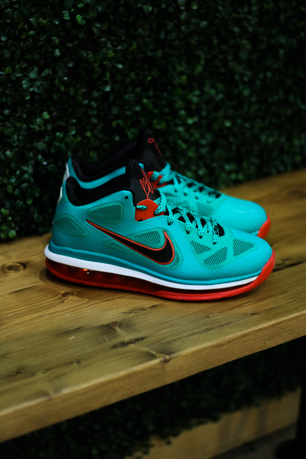 LEBRON IX LOW 
