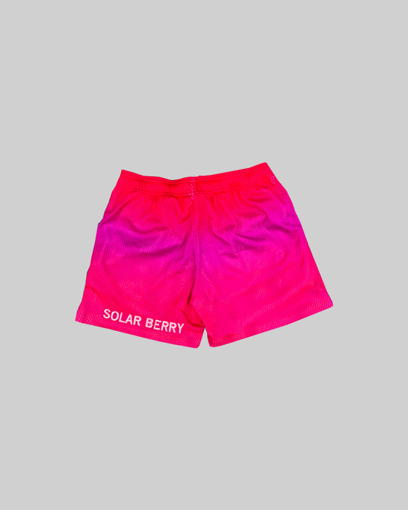 BLACK LINX SHORTS "SOLAR BERRY"