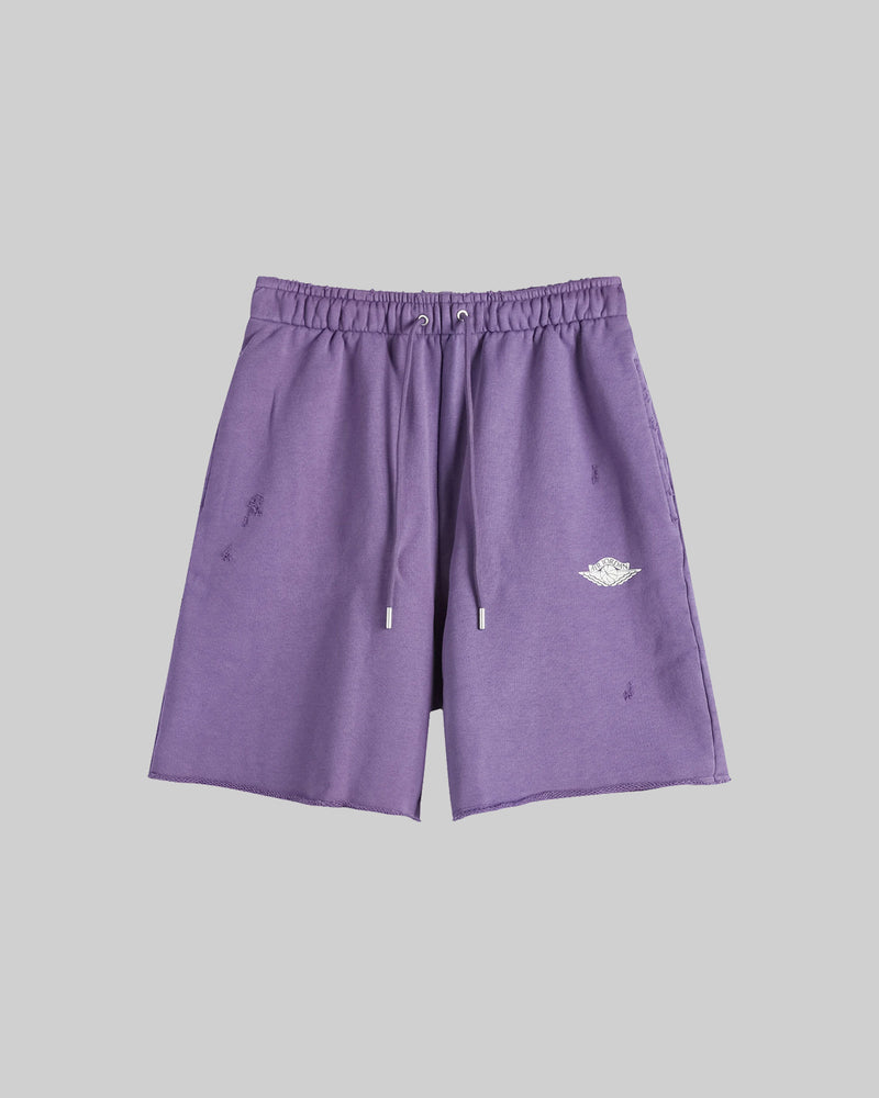 AIR JORDAN RARE AIR FRENCH TERRY SHORTS "PURPLE EARTH/SAIL"
