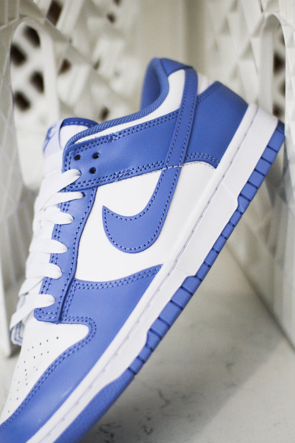 DUNK LOW RETRO "POLAR"