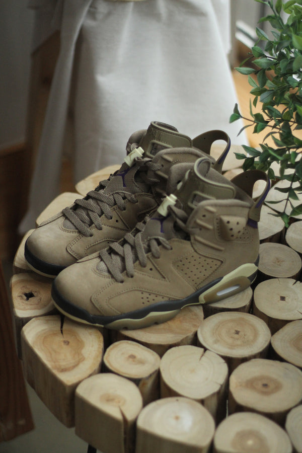 W AIR JORDAN RETRO 6 GTX "BROWN KELP"