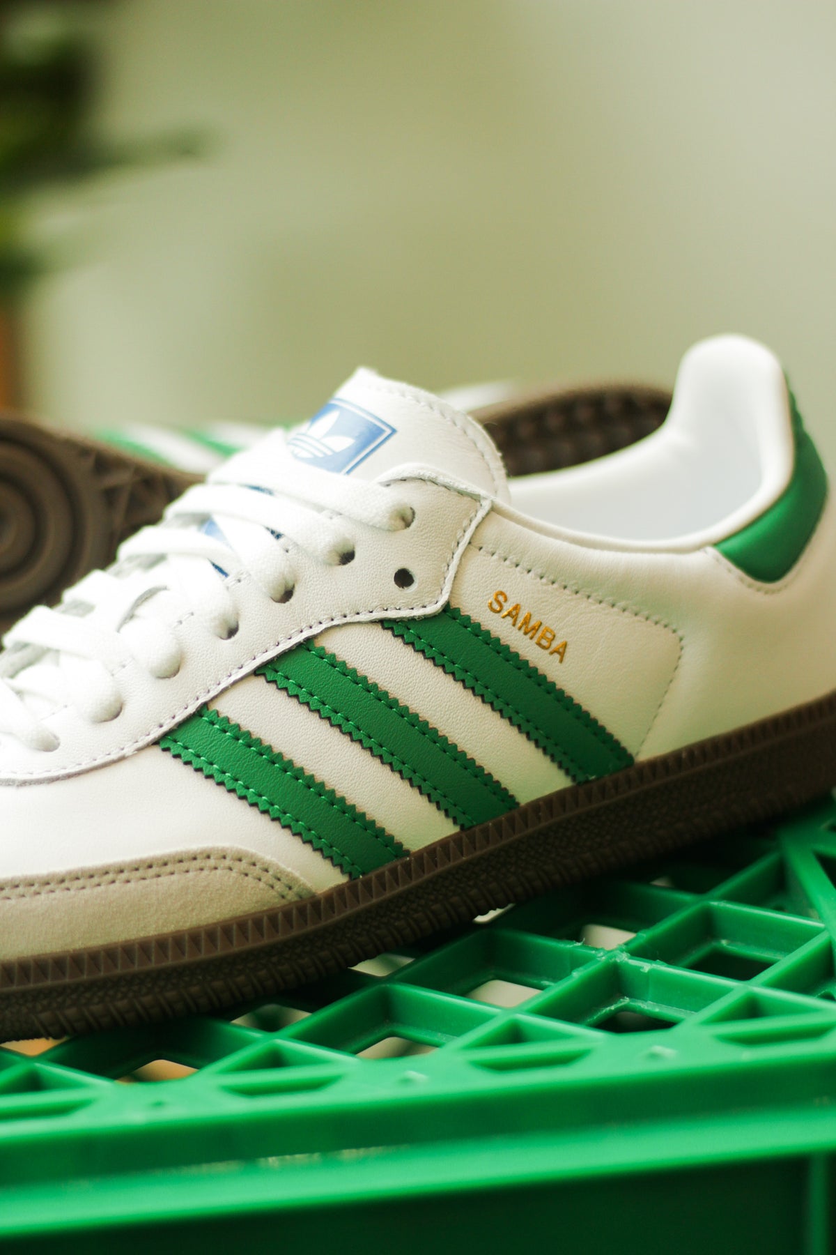 SAMBA OG 