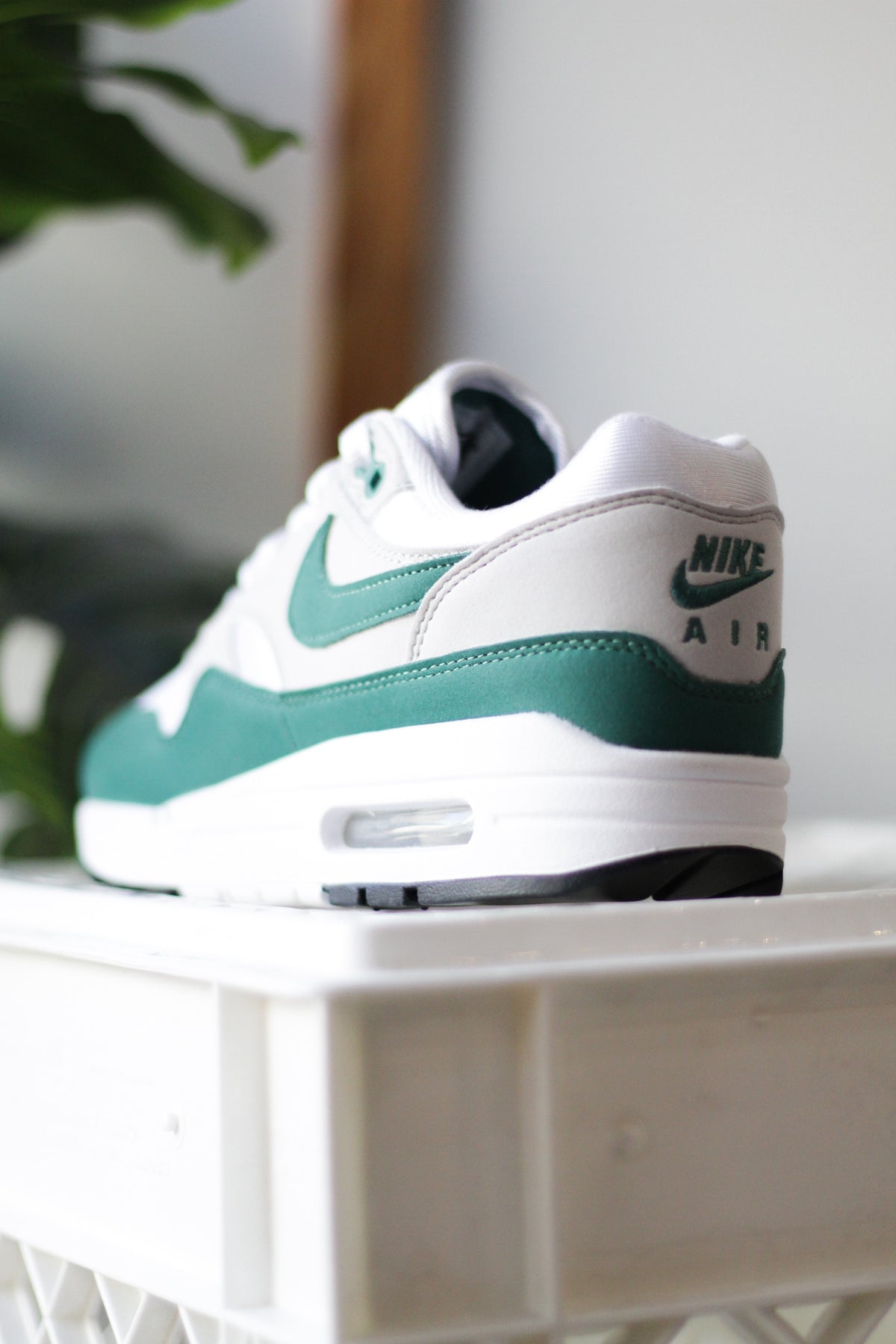evergreen nike air max 1