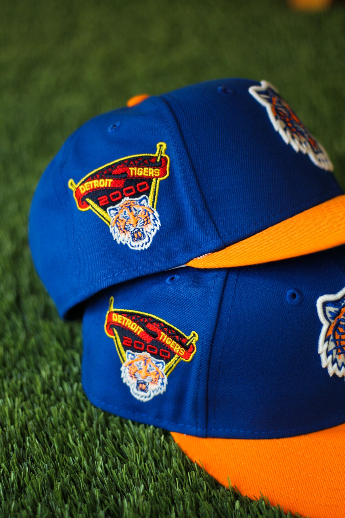 IMG_8739-2_1200x.jpg?v=1664311164