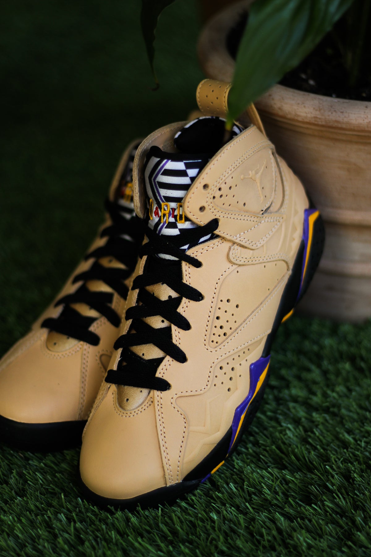 tantantan♡ IMG_9177_1200x.jpg?v=1665776075